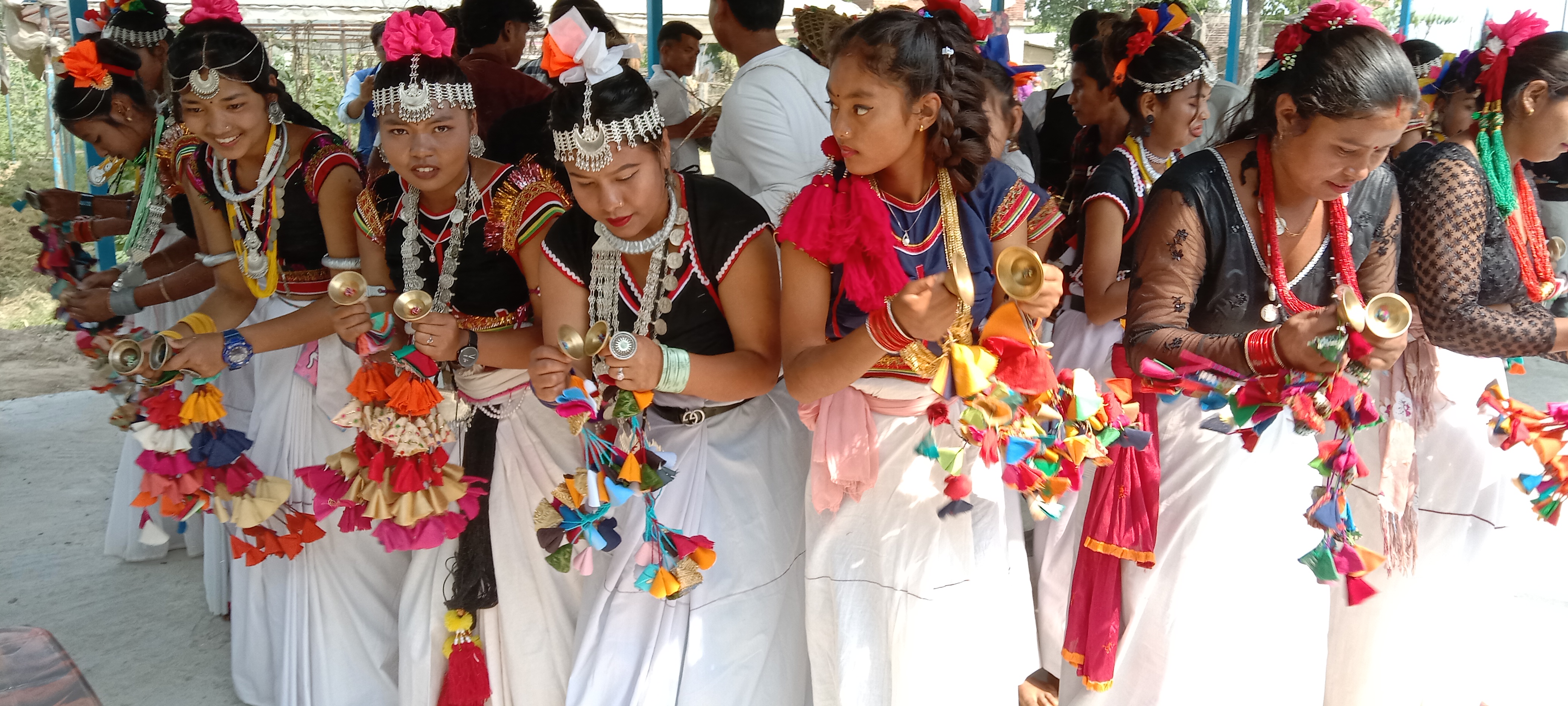 थारू पहिचानसँग जोडिएको सख्या नाच र दसैँ पर्व                                                